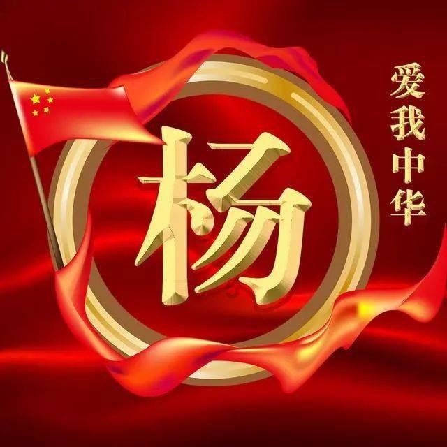 猫吐黄水不吃东西怎么办